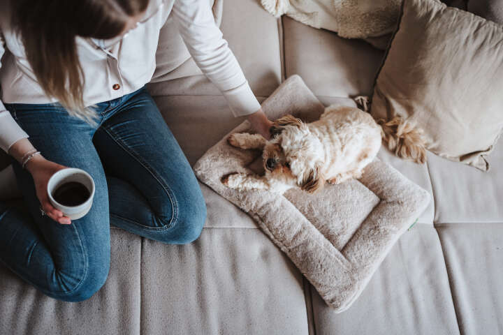 HUNTER Hundematte Rockford